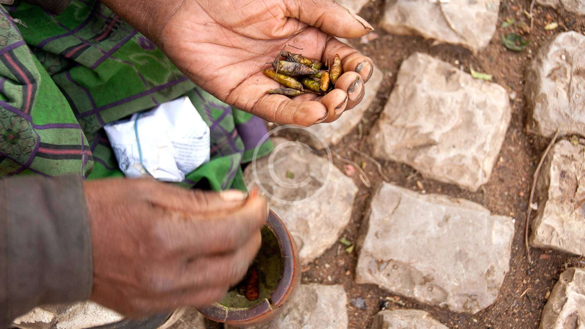 Sustainable Food